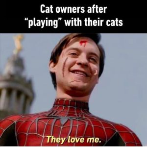 Stupid Bar Memes zsfunnys38s1