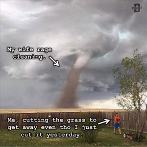 Stupid Bar Memes zsfuns60