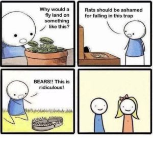 Stupid Bar Memes 021224ssermeme5s618x577