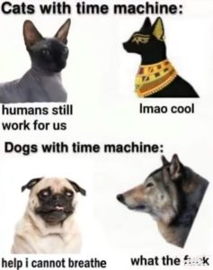 Stupid Bar Memes 051224ssers14s618x783