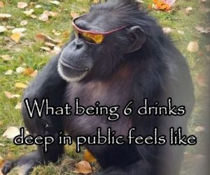 Stupid Bar Memes 051224ssers3s618x517