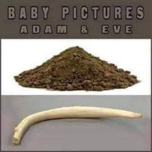 Stupid Bar Memes 11650664966