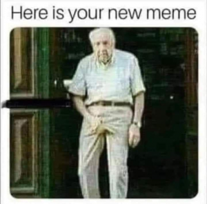 Stupid Bar Memes 12796b6c91942a82