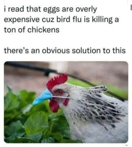 Stupid Bar Memes 15689530e10adbc