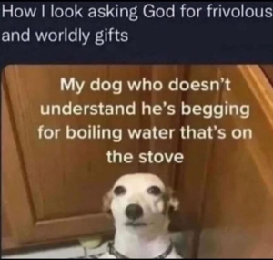 Stupid Bar Memes 161224ssers8s618x588