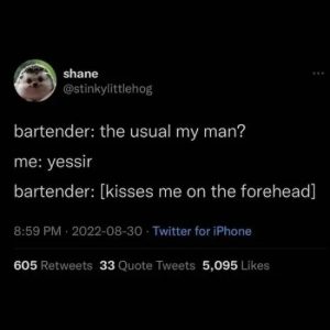 Stupid Bar Memes 173315635sfns21