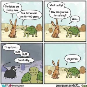 Stupid Bar Memes 181224ssers21s618x618
