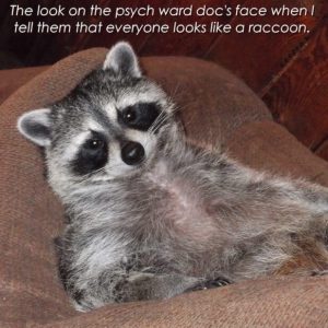Stupid Bar Memes 181224ssers84s618x618