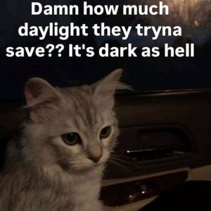 Stupid Bar Memes 1af963f3bf585d76345f95872d1802d0