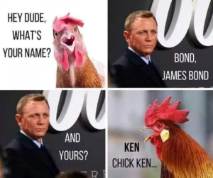 Stupid Bar Memes 2425b814336a88e8