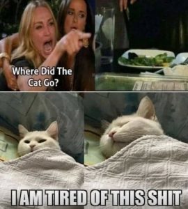 Stupid Bar Memes 2eb5ce6a86531136