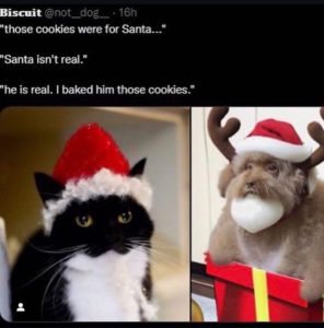 Stupid Bar Memes 301224ssers121s618x62