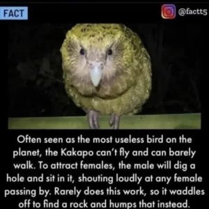 Stupid Bar Memes 301224ssers137s618x61