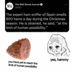 Stupid Bar Memes 301224ssers4s618x615