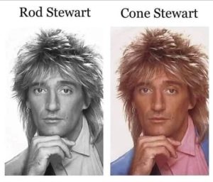 Stupid Bar Memes 3503844841426595644