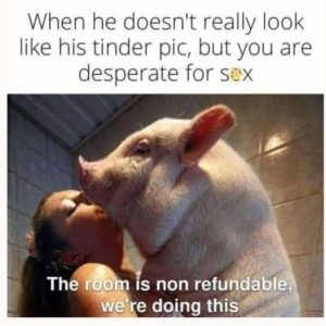 Stupid Bar Memes 3edb69e58222e745