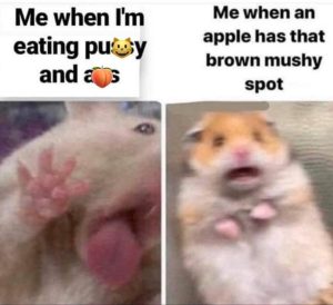 Stupid Bar Memes 4278318150953670353