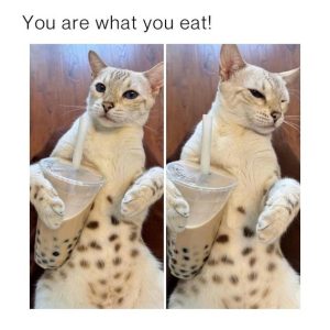 Stupid Bar Memes 433e5cc26a71bdba2