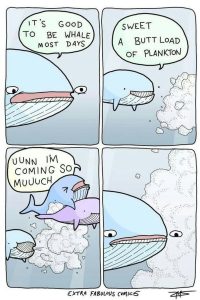 Stupid Bar Memes 467740s680982