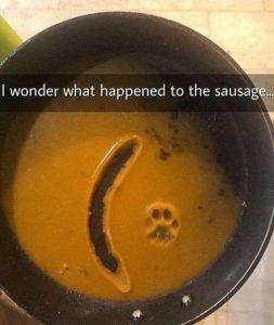 Stupid Bar Memes 469035921s626405496581999s8928558872693704986sn