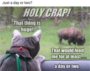 Stupid Bar Memes 50642a5cdbe2f7c4