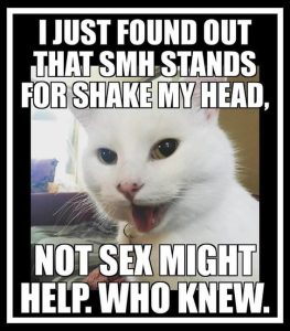 Stupid Bar Memes 56b276ee0a87777e
