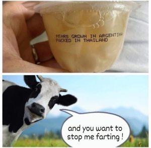 Stupid Bar Memes 62ff9b872db2e2a427