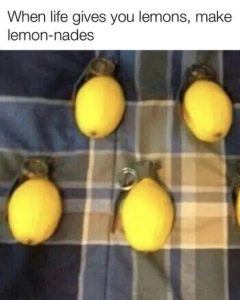 Stupid Bar Memes 675b4282a0023