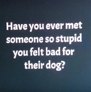 Stupid Bar Memes 675bebd3c96b4