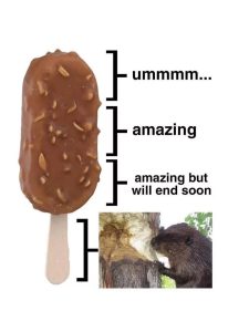 Stupid Bar Memes 675d38f2424d7