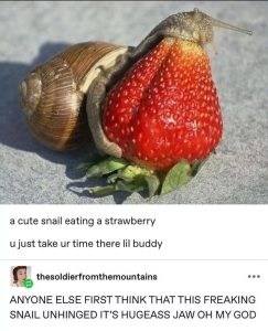 Stupid Bar Memes 676c3388401db