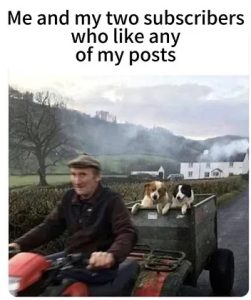 Stupid Bar Memes 6dcf302es5d46s41fcs