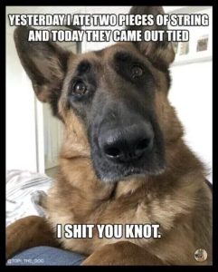 Stupid Bar Memes 730195cec61a53