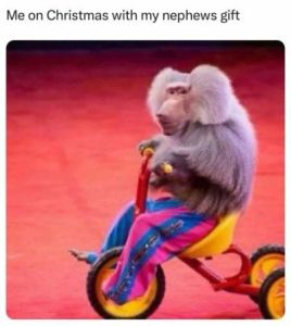 Stupid Bar Memes 873e87a54d6022dc7
