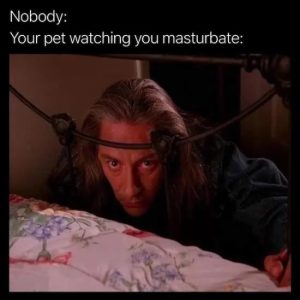 Stupid Bar Memes ASPS81F