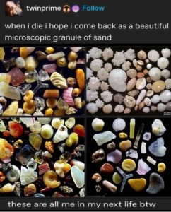 Stupid Bar Memes DUESDAYs55s9