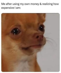 Stupid Bar Memes GP4TQyR