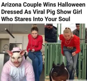 Stupid Bar Memes GirlsPigsWTF