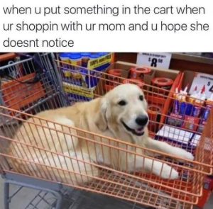 Stupid Bar Memes NOONs33s18