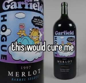 Stupid Bar Memes RJM9zCR