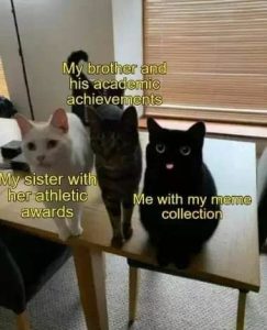 Stupid Bar Memes a1fe1b1e597ded73
