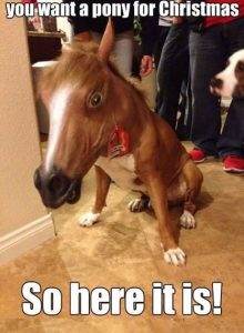 Stupid Bar Memes a6db3e1sb8f8s4bc8s8