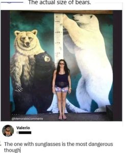 Stupid Bar Memes actursssunglassesswom