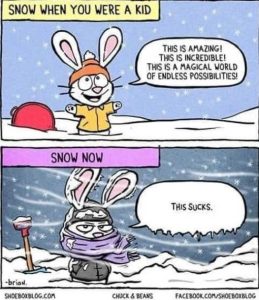 Stupid Bar Memes agicalspossibilit