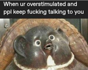 Stupid Bar Memes avy5mqds700b