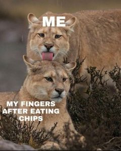 Stupid Bar Memes bd0ed3357ea6263585