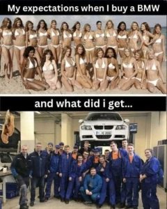 Stupid Bar Memes ccf887f7d450069b2a3
