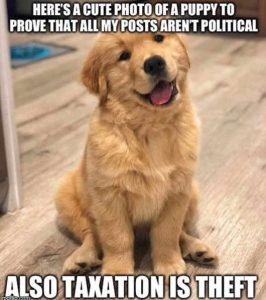Stupid Bar Memes curesnotspolitical