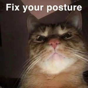 Stupid Bar Memes d58b5d91f92d8acb