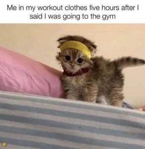 Stupid Bar Memes db833722861d39b